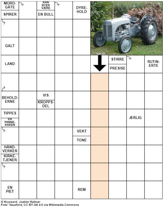 Dagens kryssord – 13. Juli - 2022