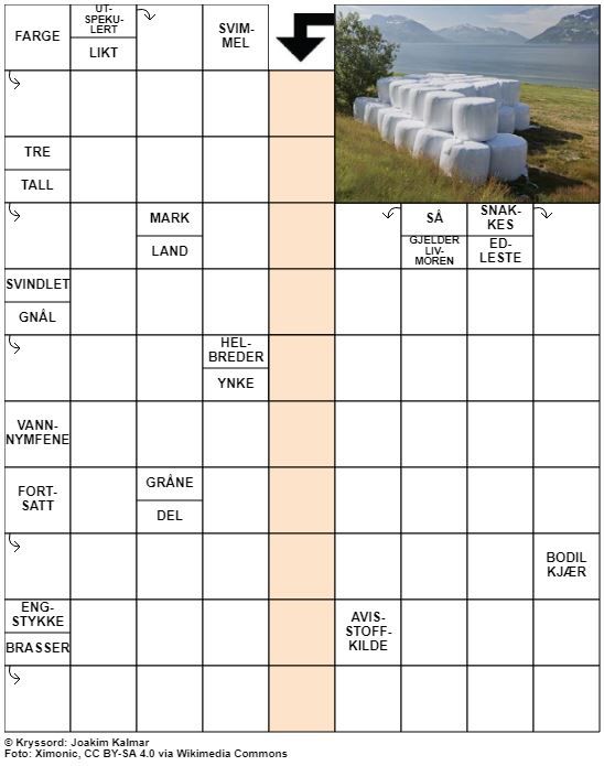Dagens kryssord – 14. Juli - 2022