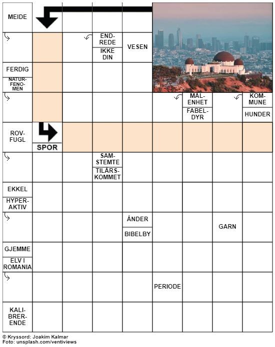 Dagens kryssord – 16. Juli - 2022