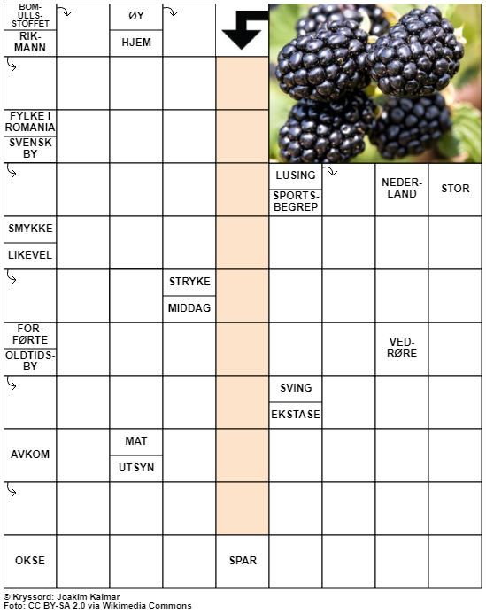 Dagens kryssord – 17. Juli - 2022