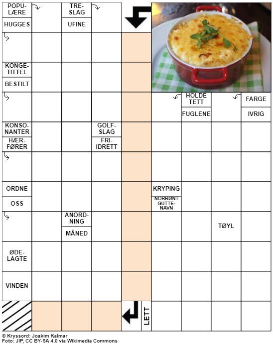 Dagens kryssord – 24. Juli - 2022