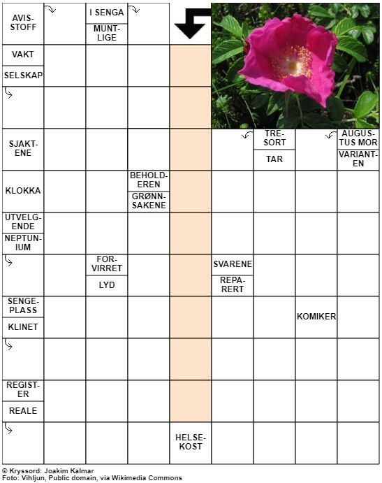 Dagens kryssord – 26. Juli - 2022