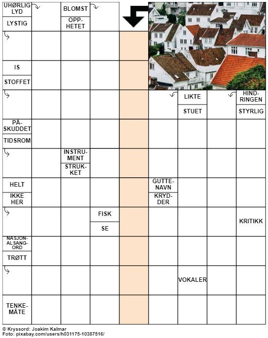 Dagens kryssord – 2. August - 2022
