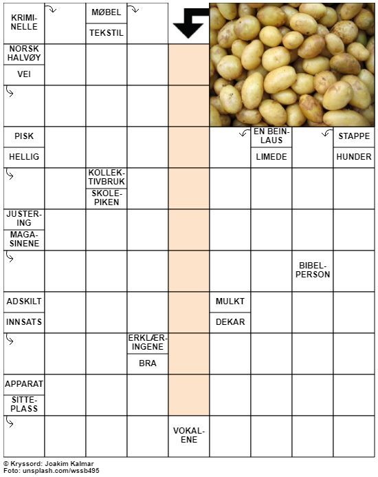 Dagens kryssord – 4. August - 2022
