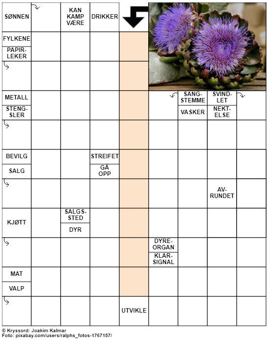 Dagens kryssord – 5. August - 2022