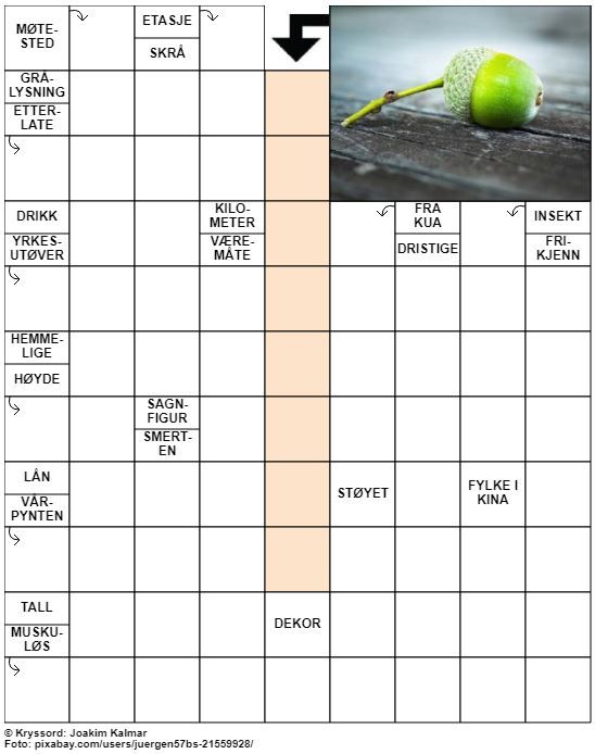 Dagens kryssord – 19. August - 2022
