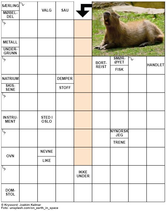 Dagens kryssord – 21. August - 2022