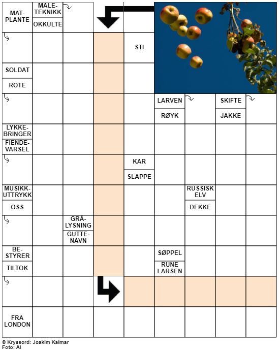 Dagens kryssord – 25. August - 2022