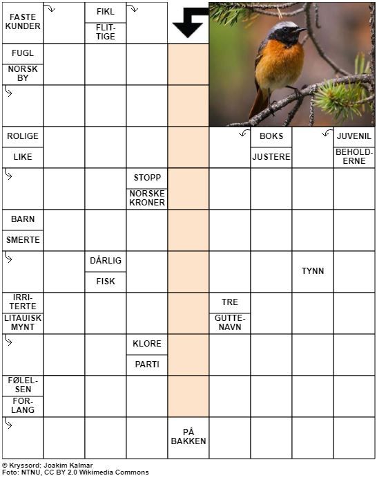 Dagens kryssord – 28. August - 2022