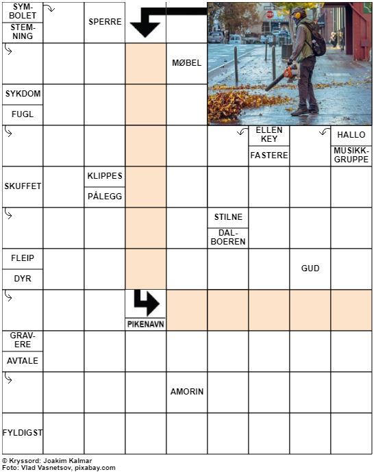 Dagens kryssord – 3. September - 2022