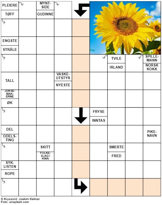 Dagens kryssord – 8. September - 2022