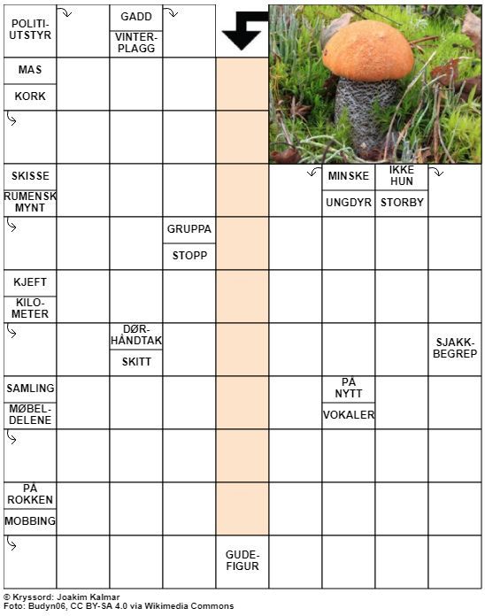 Dagens kryssord – 14. September - 2022