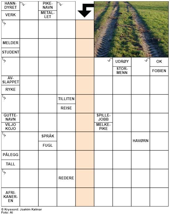 Dagens kryssord – 17. September - 2022