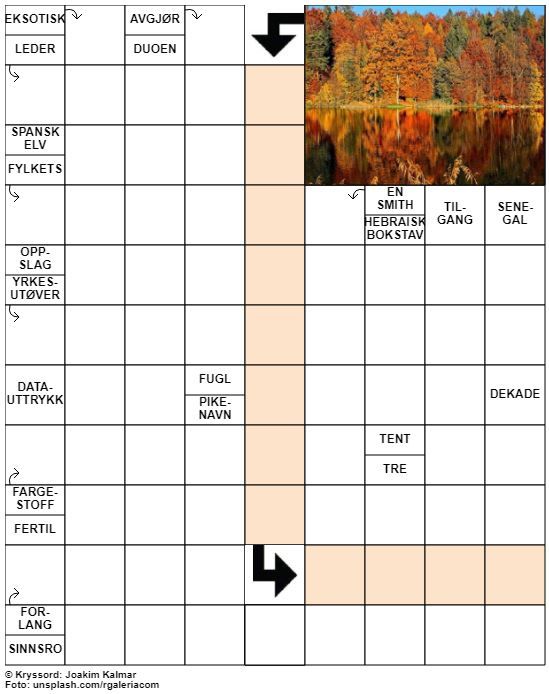 Dagens kryssord – 25. September - 2022