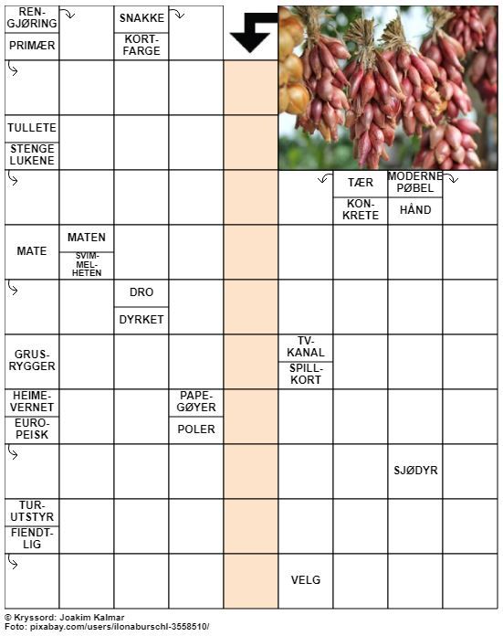 Dagens kryssord – 28. September - 2022