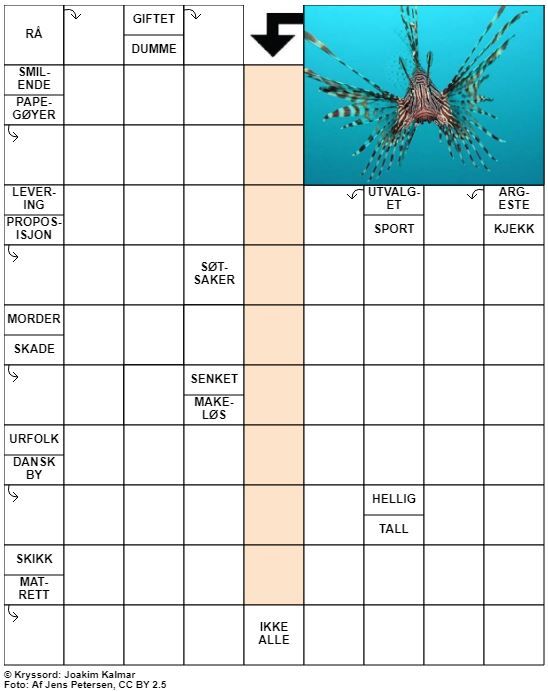 Dagens kryssord – 8. Oktober - 2022