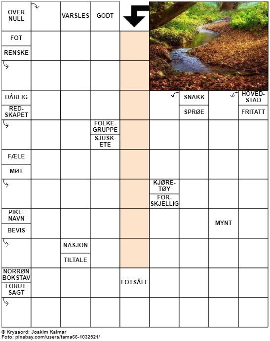 Dagens kryssord – 9. Oktober - 2022