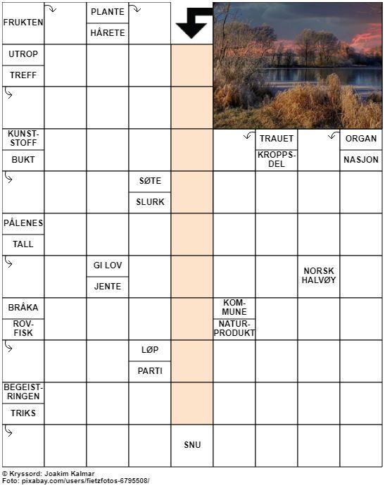 Dagens kryssord – 10. Oktober - 2022