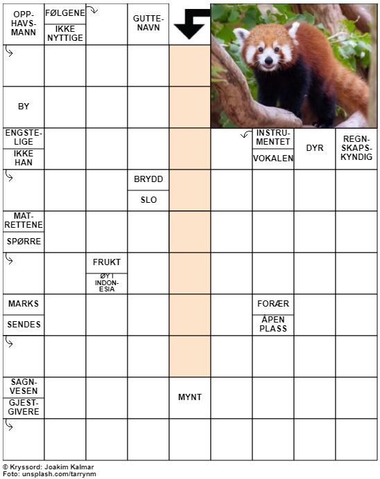 Dagens kryssord – 13. Oktober - 2022