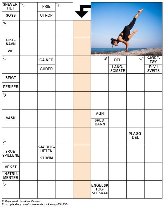 Dagens kryssord – 30. Oktober - 2022