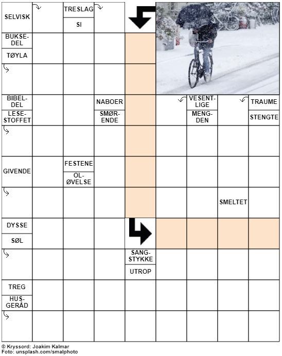 Dagens kryssord – 7. November - 2022