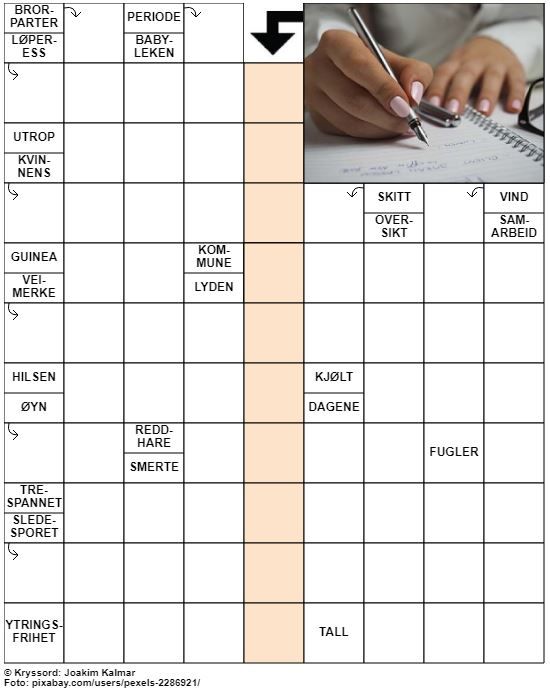 Dagens kryssord – 8. November - 2022