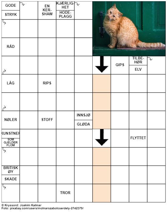 Dagens kryssord – 10. November - 2022