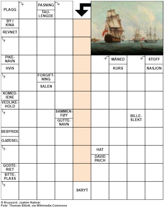 Dagens kryssord – 11. November - 2022