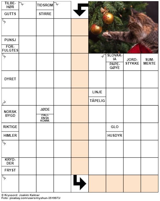 Dagens kryssord – 16. November - 2022
