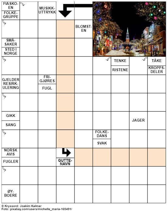 Dagens kryssord – 18. November - 2022