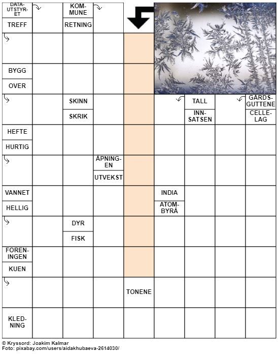 Dagens kryssord – 19. November - 2022