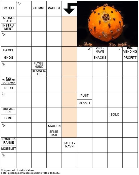 Dagens kryssord – 22. November - 2022