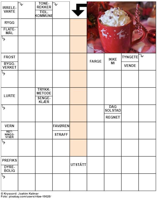 Dagens kryssord – 30. November - 2022