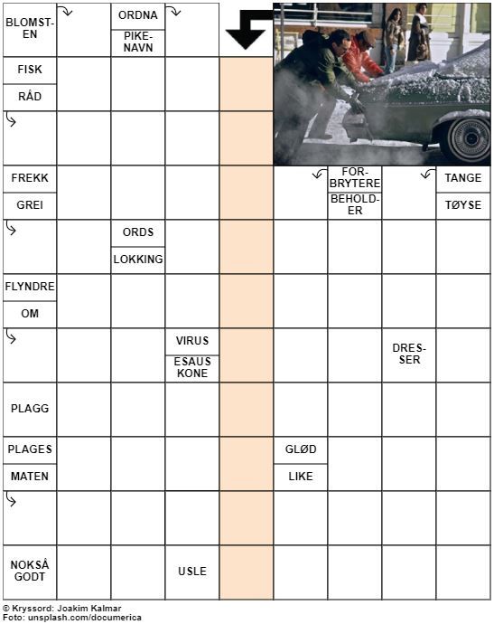 Dagens kryssord – 2. Januar - 2023