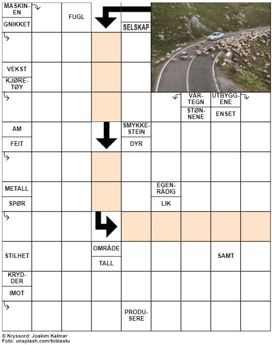 Dagens kryssord – 3. Januar - 2023