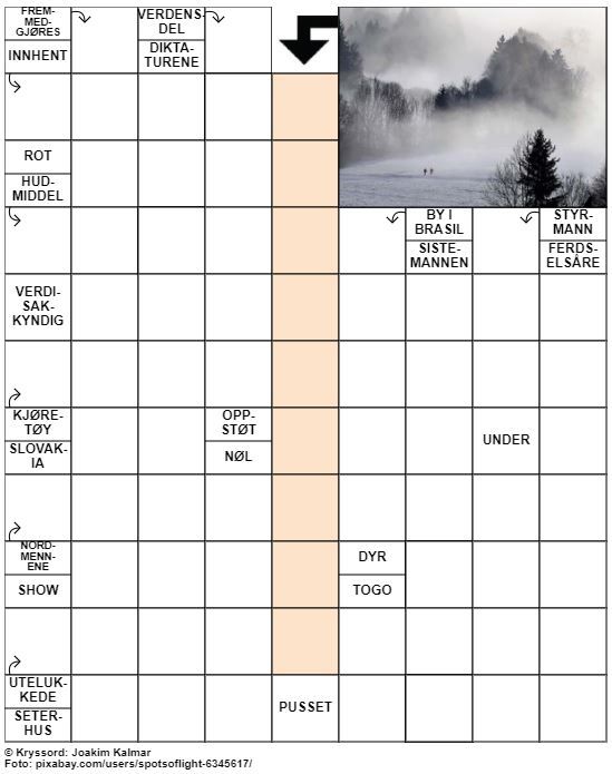 Dagens kryssord – 10. Januar - 2023