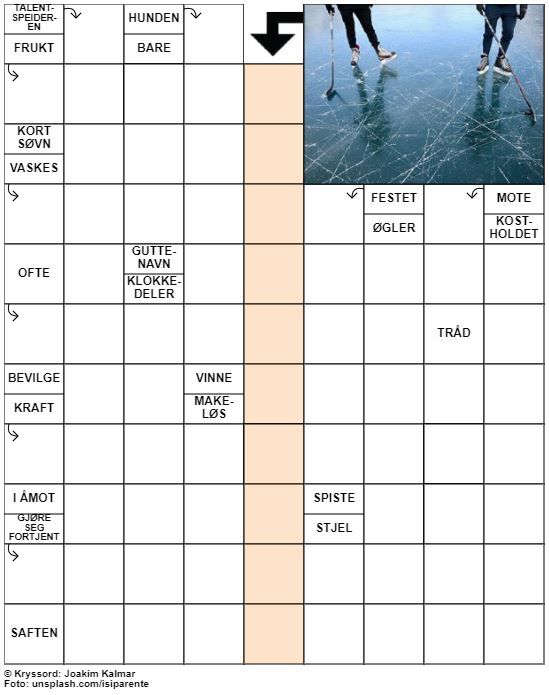 Dagens kryssord – 11. Januar - 2023
