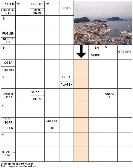 Dagens kryssord – 15. Januar - 2023