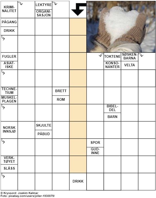 Dagens kryssord – 19. Januar - 2023
