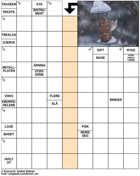 Dagens kryssord – 21. Januar - 2023