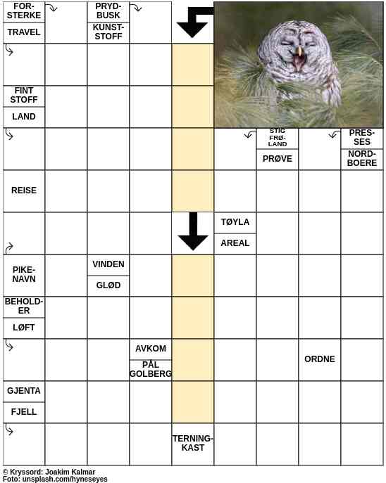 Dagens kryssord – 12. Mars - 2023