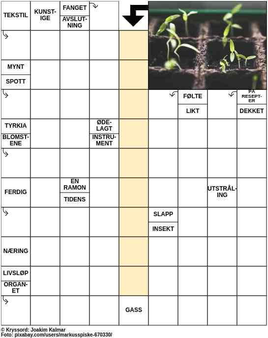 Dagens kryssord – 17. Mars - 2023