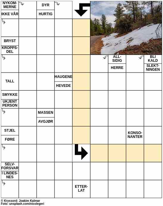 Dagens kryssord – 2. Mars - 2023