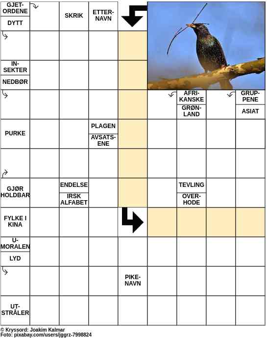 Dagens kryssord – 8. Mars - 2023