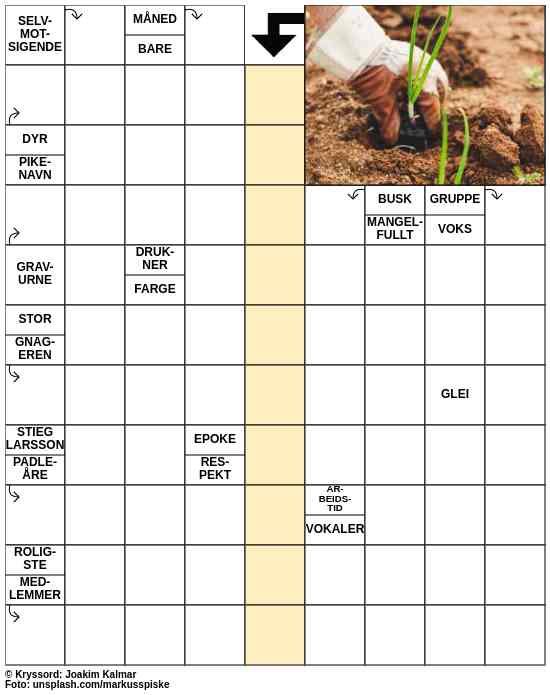 Dagens kryssord – 19. April - 2023