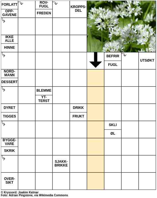 Dagens kryssord – 26. April - 2023