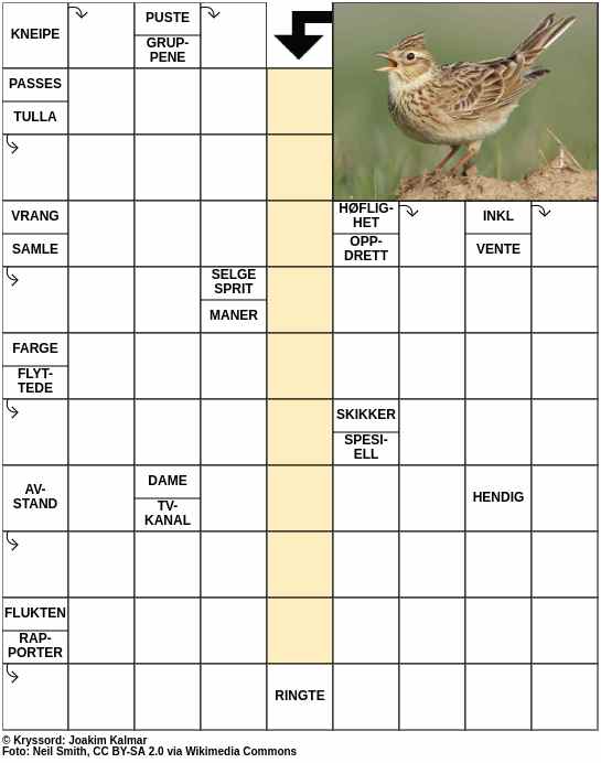 Dagens kryssord – 29. April - 2023