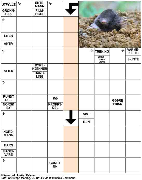 Dagens kryssord – 4. Mai - 2023