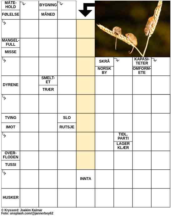 Dagens kryssord – 13. Mai - 2023