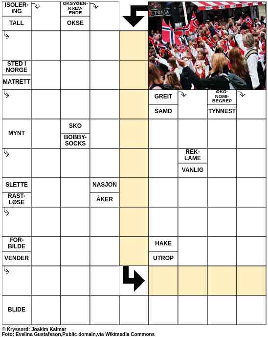 Dagens kryssord – 17. Mai - 2023